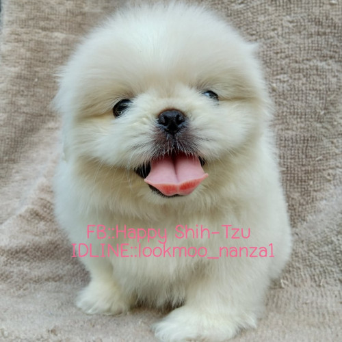 59301297 842378112827264 8322344200880259072 n