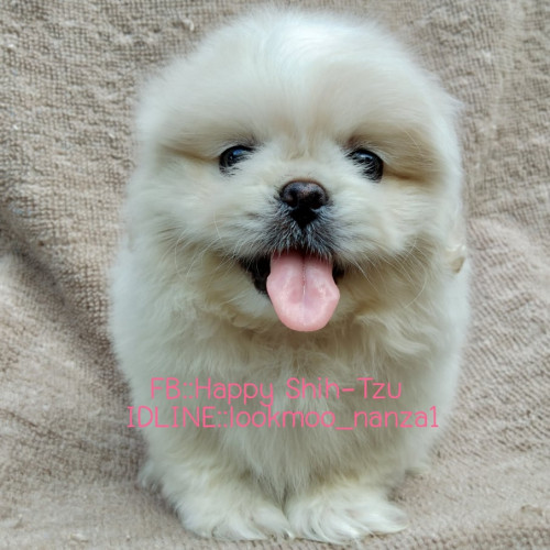 59376047 787464584987304 3254789979993276416 n