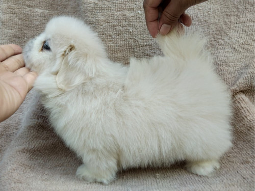 59389620 2350968138526067 1971348460825214976 n