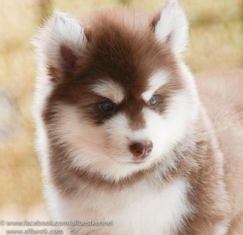 13433175 1190799130954979 7844662047087063976 o