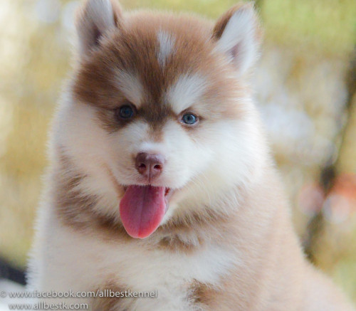 40040302 2072873696080847 3698455029313699840 o