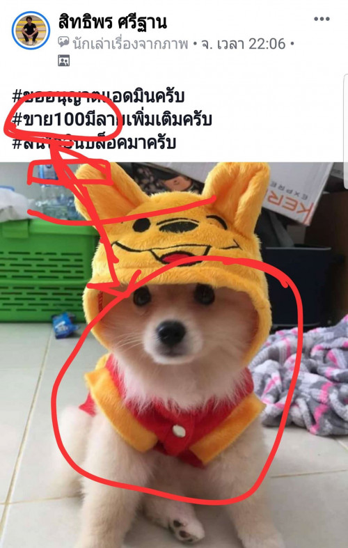60609548_855503704783485_2867472586609000448_n.jpg