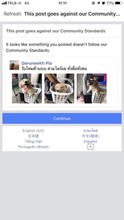 S__27639969.jpg