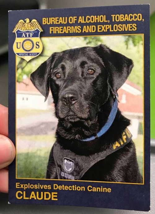 78546564564