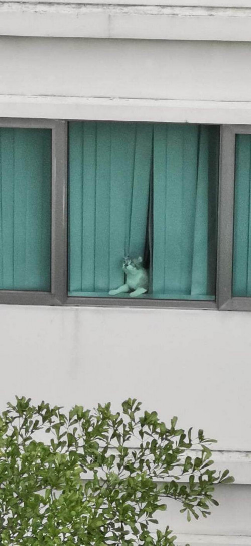 5 269