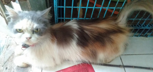 62242494 2495397407354636 3352593849976356864 n