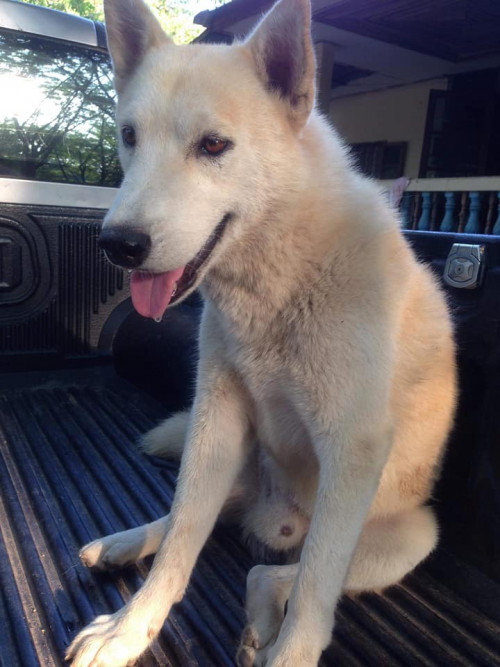 64272794 2401907493202578 4925465720503926784 n