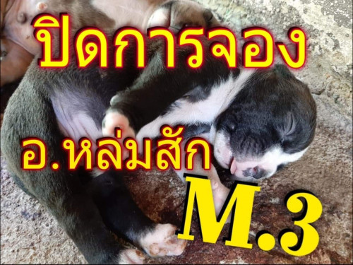 received 1196327877213253