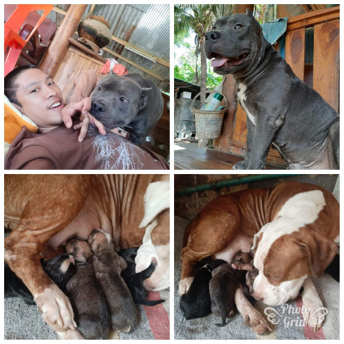 received 2338156256443633