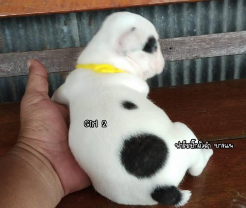 54345