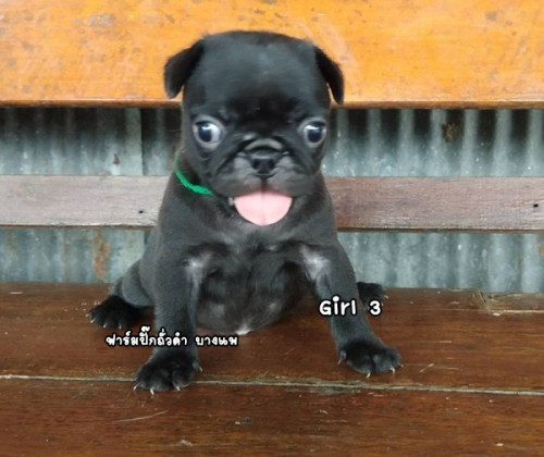 54401
