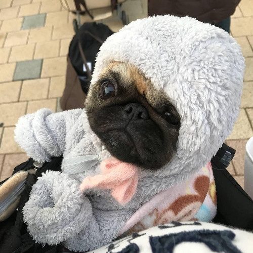 52116024 867376420278230 698696684334327553 n