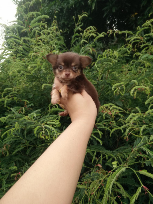 IMG20190702175901