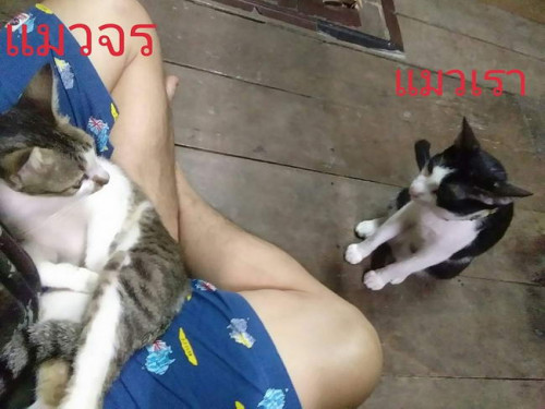 bbg1