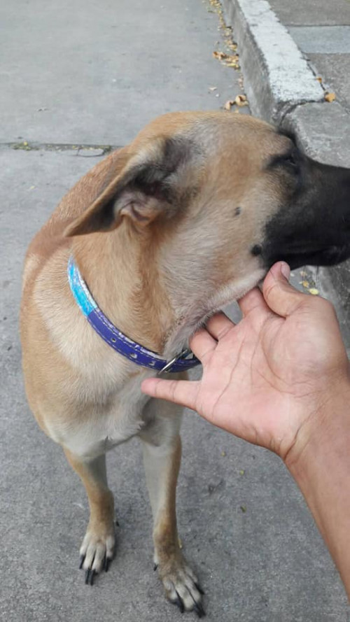 64781969 2522868617752949 7027872492731498496 n