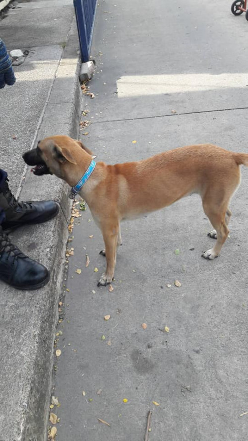 66720722 2522868557752955 1291712165891276800 n