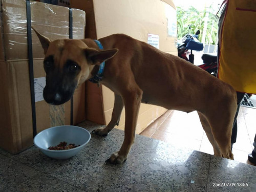 66996187 2522868434419634 745120669158604800 n