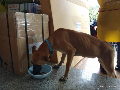 67556922 2522868387752972 1737617070721335296 n