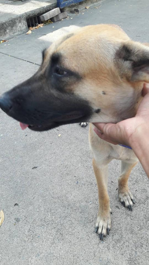 67563348 2522868677752943 8289769300596621312 n