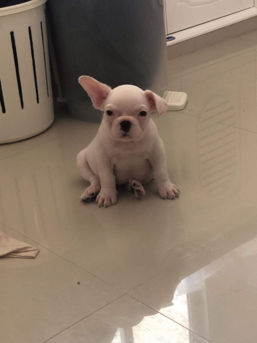 received 462487904571097