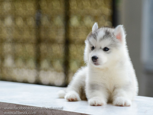 1782567 806675709367325 3528139154184685045 o