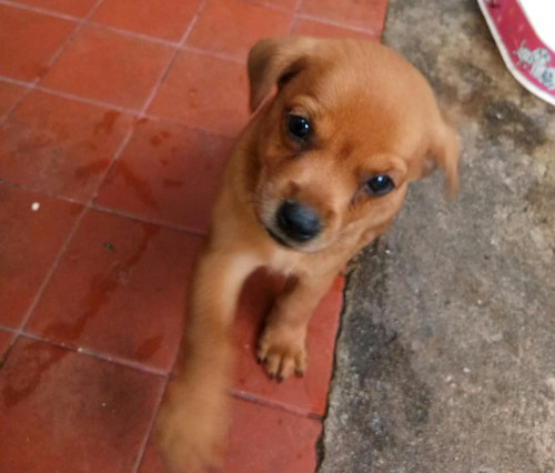 67796909 1323370757841169 3189129271591305216 n