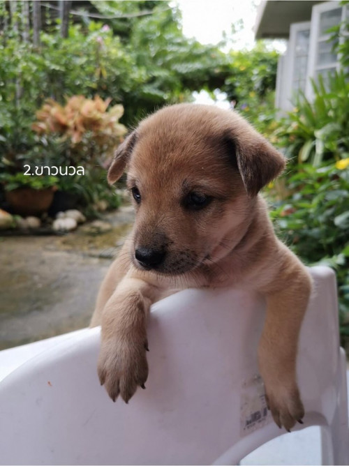 68347213 10215193217811510 1945806397690085376 n