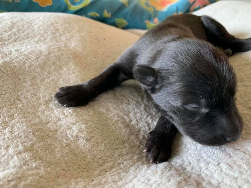 68668522 2410142149261910 5743199752468561920 n