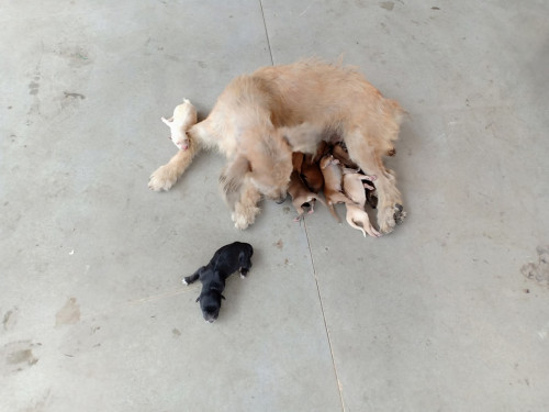 67927594 127101501903802 5319538354415468544 n