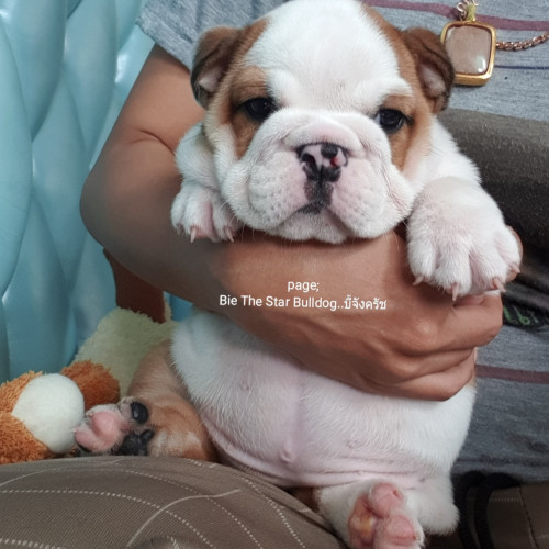 IMG 20190805 205531 293
