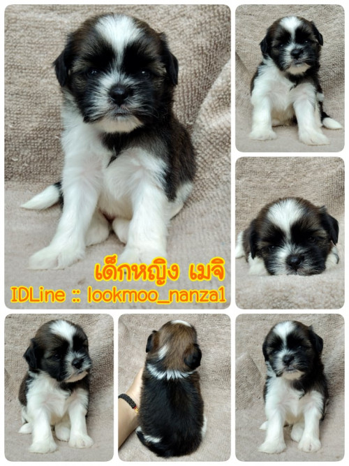 68869535 538864986860160 799361317218549760 n