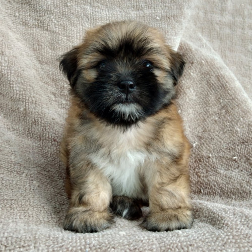 69539001 675770229565875 5218108462587707392 n