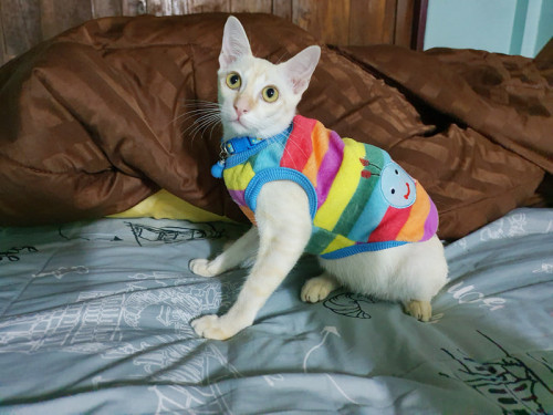 71317219 218312682484656 836735748966187008 n