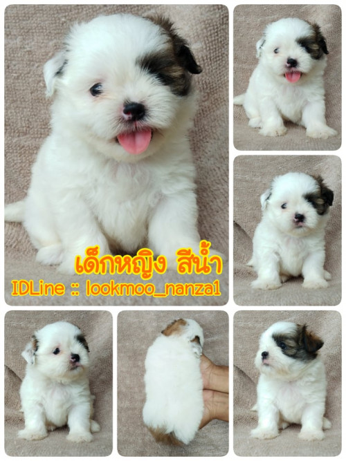 70620245 480141659496907 3155238955968888832 n