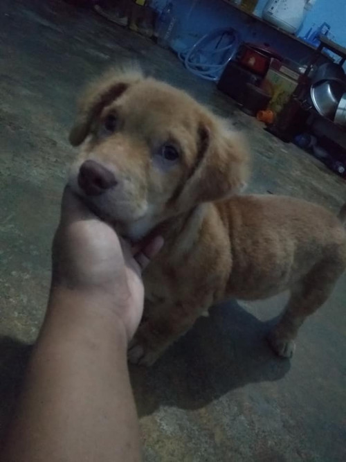 70859256 2409890455994074 5182924575830179840 n