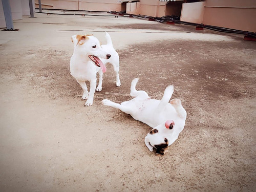 received 2548164542074753