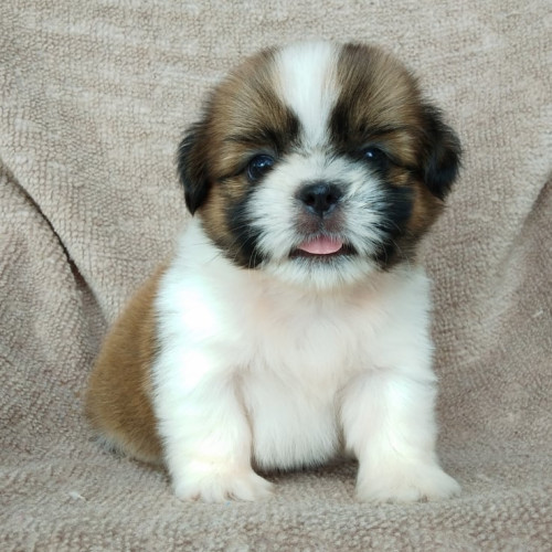 71698578 659692631221820 974954019959078912 n