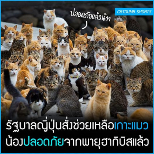 72362290 2649845935058179 8073886738012962816 n