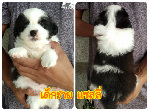 73033764 694192557743752 6176874652023914496 n