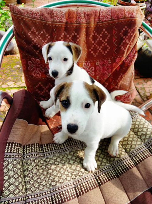 received 2687687061284078