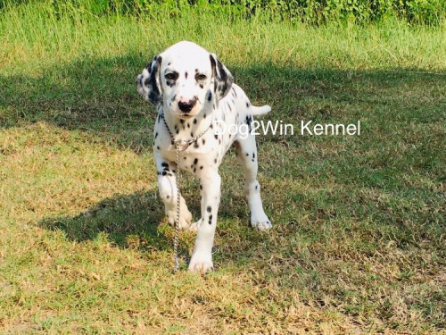 F737E6AC 2BD5 47EA 89DE 6CD587F27BA2