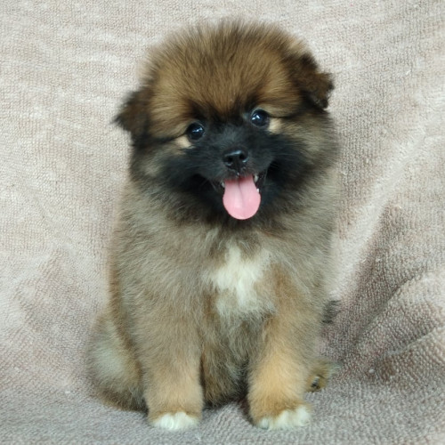 74446233 732140490587338 7197549556626620416 n