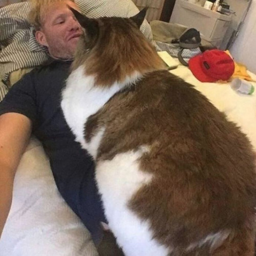 14