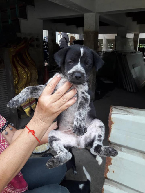 73088988 945047292528089 1362320440395038720 n