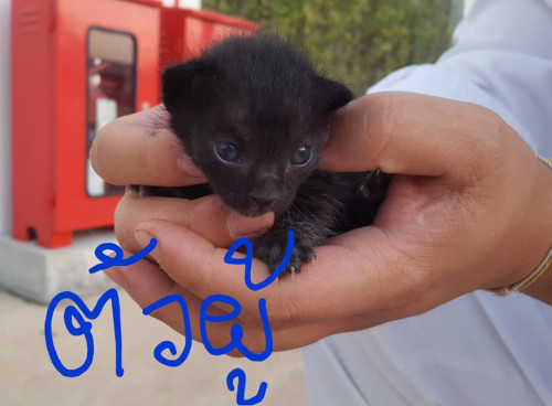 74217320 10220262060724293 2627320349246619648 n