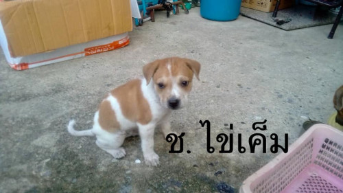 74226632 10157711266978566 5803472587606458368 n