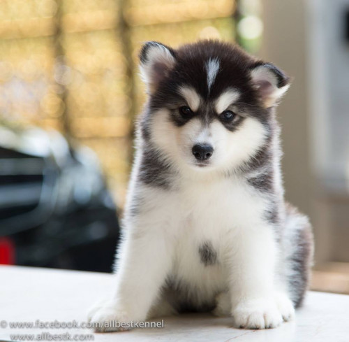 19620 954948027873425 8430104227946956482 n