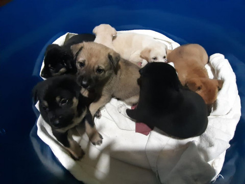 73515776 501629067097806 2760230783690997760 o