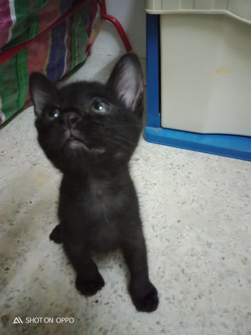 76240628 1177470839130618 3765349570150662144 n