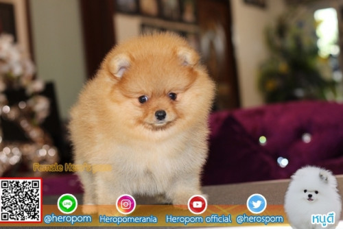 F11112 Edit 191112 0003